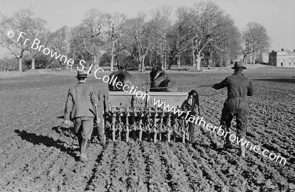 SOWING WINTER WHEAT MACHINE